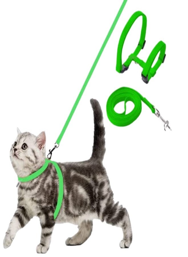 طقم مقود نايلون مع حزام كامل للجسم للقطط من Pups&Pets، قابل للتعديل ومتين